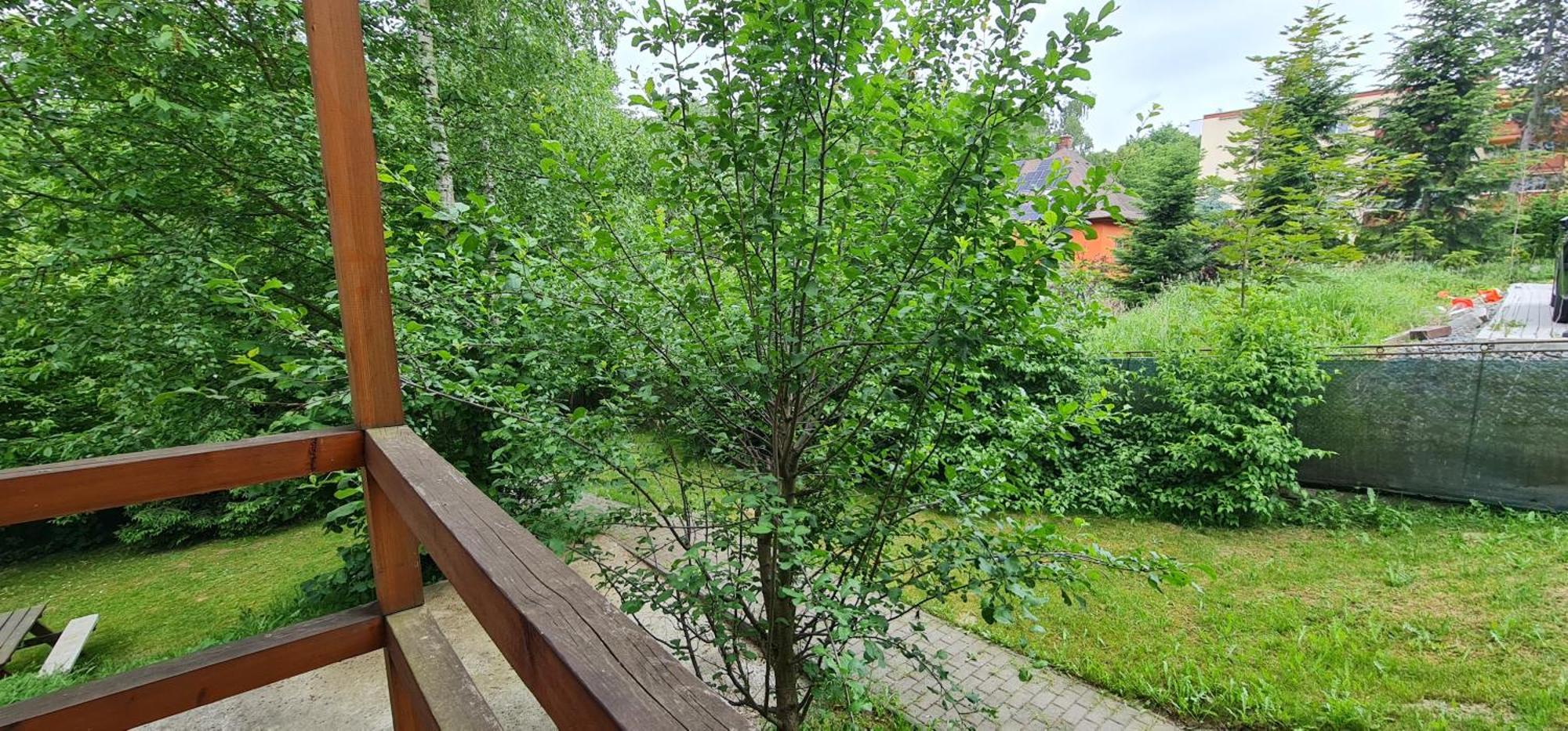 Apartmany Orlova Luaran gambar